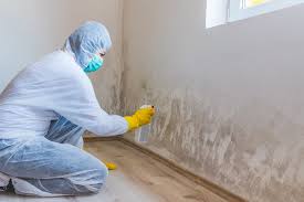 Why You Should Choose Our Mold Remediation Services in Boulevard Park, WA